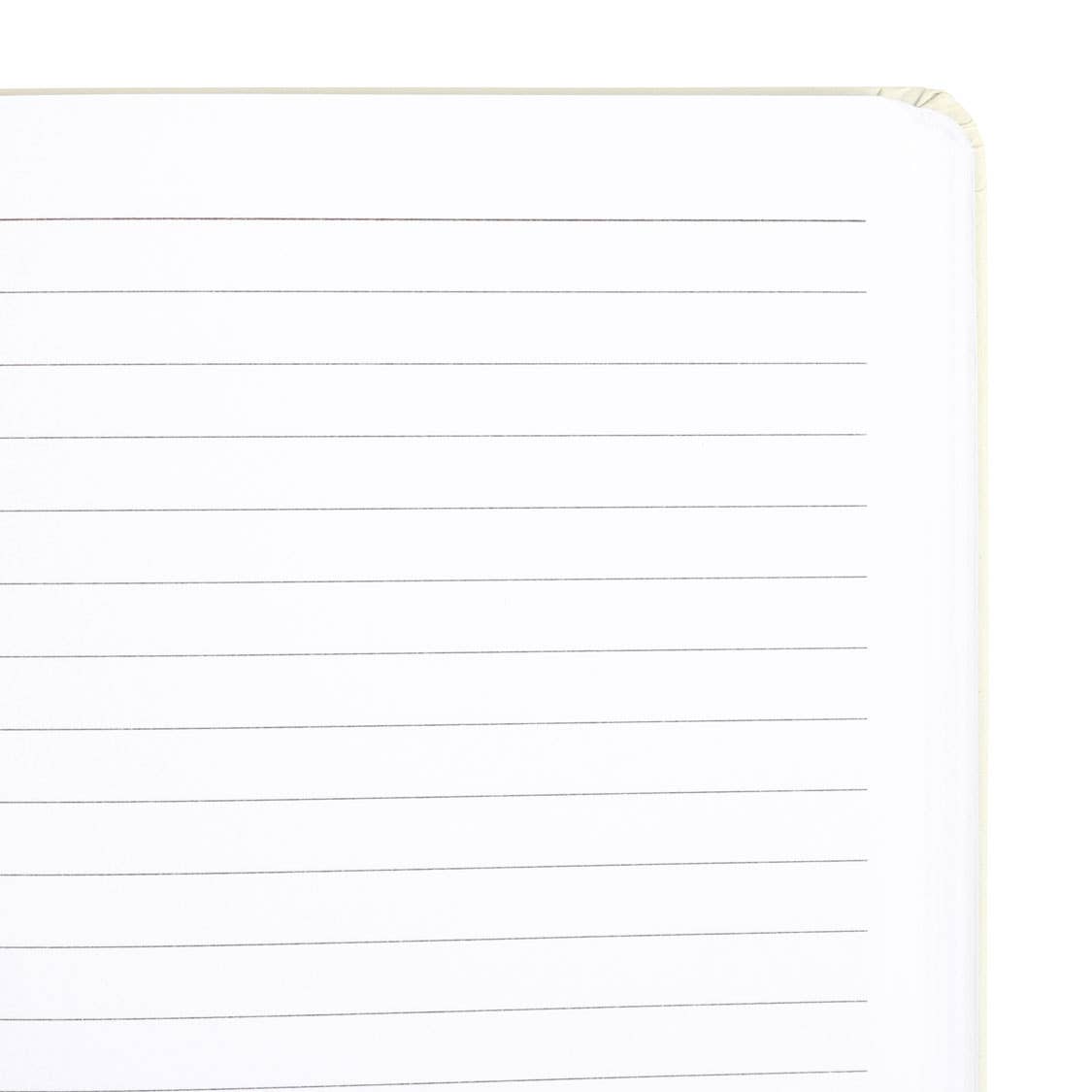 The Moon hemels A5-notitieboek