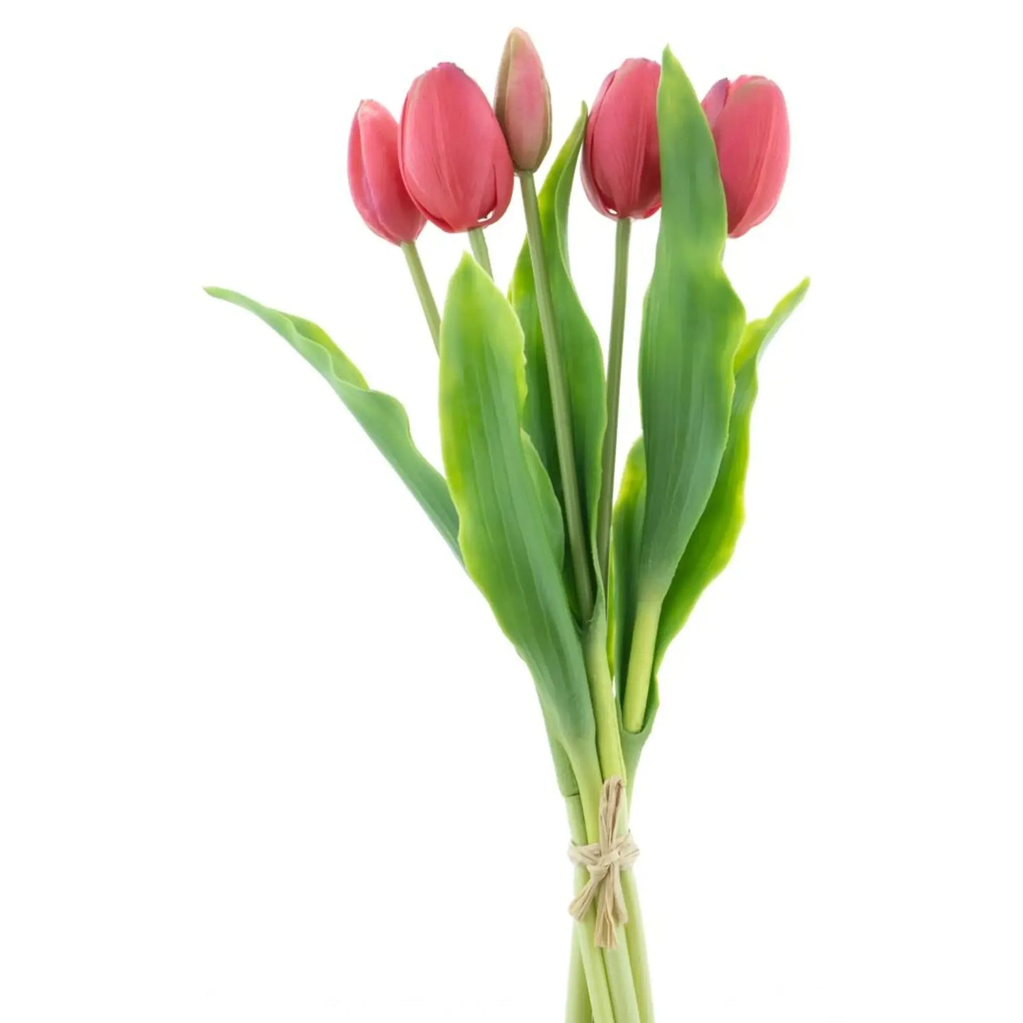 Bos tulpen 5 stuks real touch - schoonheid